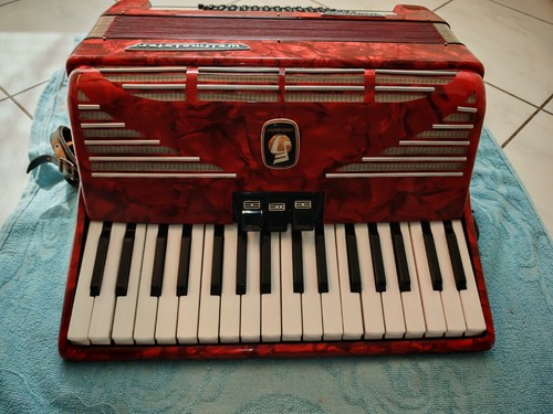 Accordion world champion - accordion,