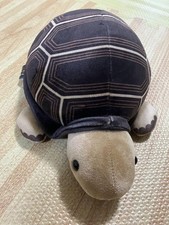 Kobe Atoa Aquarium Lottery Aldabra Giant Tortoise