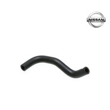 Hose, Water For: Skyline R33