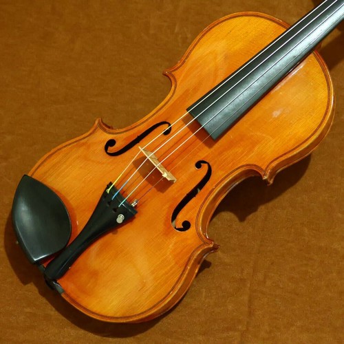 Antique violin dresden - antique,