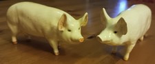 Beswick  Pigs - Sow "Ch Wall