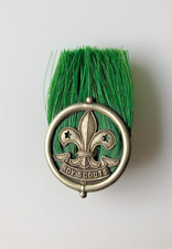 Boy Scouts Assistant