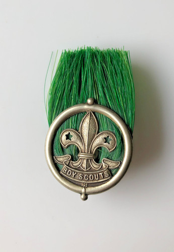 Boy scouts assistant - scouts,