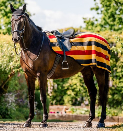 Horseware newmarket fleece - horseware,