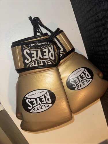 Cleto reyes adult - adult, boxing