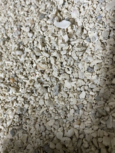Coral gravel cichlid - gravel,
