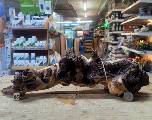 Large 54cm mopani wood - 27-54cm,