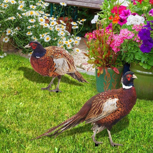 For outdoor party decoration - for,