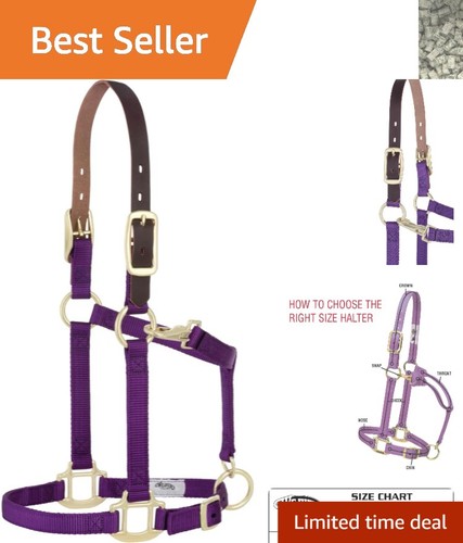 Weaver nylon horse halter - horse, with