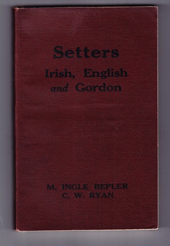 Setters irish english - irish,