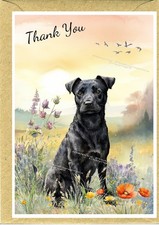 Patterdale Terrier Dog Thank