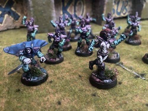 Terra bay ravens dark elf - ravens.,