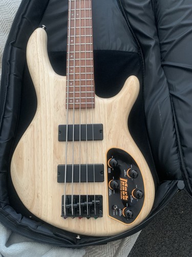 Electric bass guitar - electric,