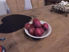 English grown grafted PLUM TREES bare root 4ft November delivery