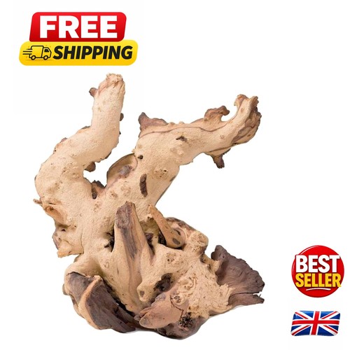 Exquisite mopani driftwood - exquisite,