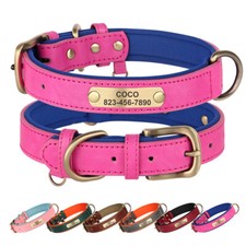 Personalised Dog Collar / Lead