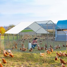 3x3x2m Metal Chicken Coop