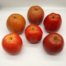 6 Large Artificial Apple
