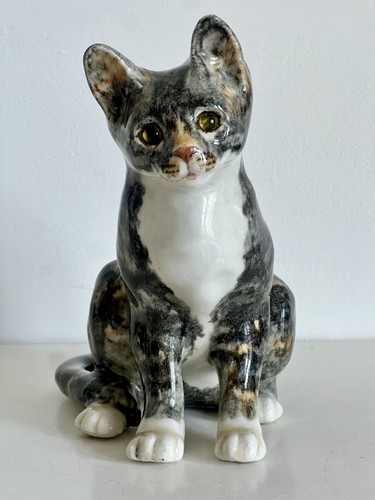 Winstanley cat kitten grey - kitten, &