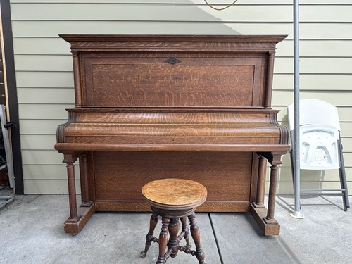 Story clark oak - oak, upright
