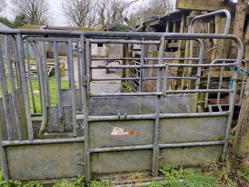 Cattle crush bateman - crush,