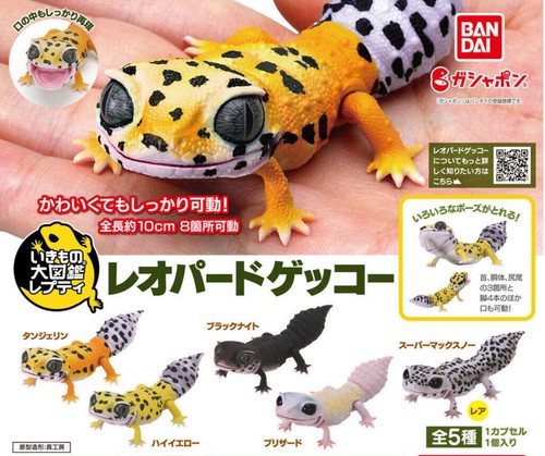 Bandai gashapon leopard gecko - gashapon,