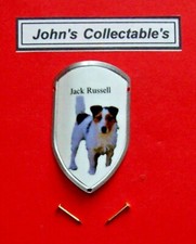 JACK RUSSELL (DOG)  WALKING /