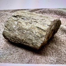 Petrified Wood Fossil from Moon Plains Coober Pedy 140-180M Years - Jurassic Age