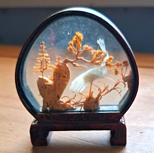 Glass dome bird - glass,