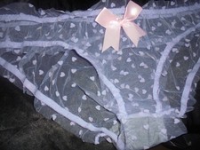 Sheer  see  through   Knickers