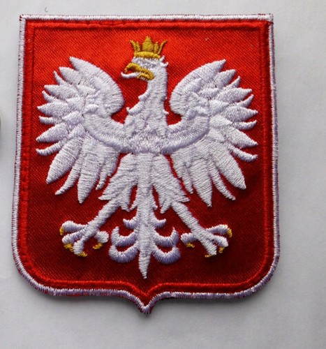 Beautiful polish army - beautiful,