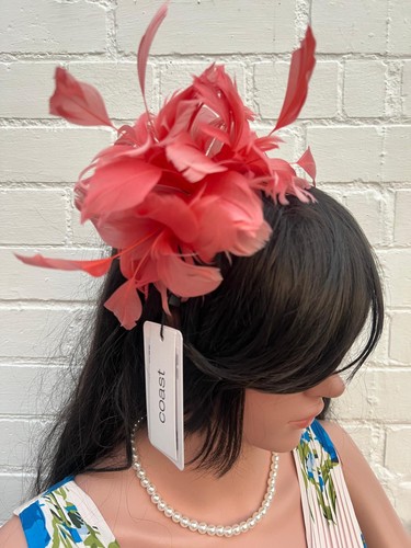 Coast coral fascinator feather - coast,