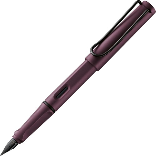 Lamy fountain pen - fountain,