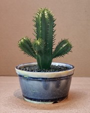 Midnight Mist Bonsai Pot –