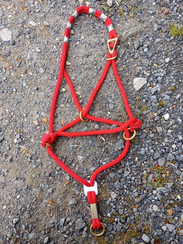 Monty roberts nice halter - monty,
