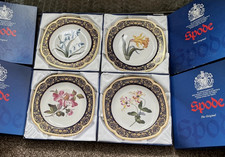 Gorgeous Rare Spode Plates