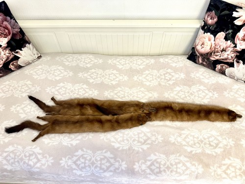 Vintage real fox fur - vintage,