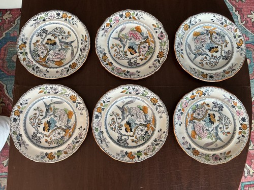 Oriental ashworth bros hanley - bros,