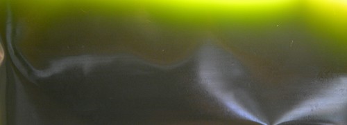 Live marine phytoplankton - live,