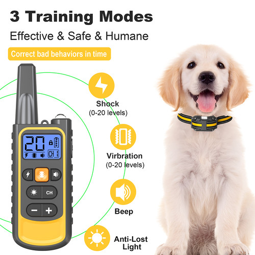 3000 dog training - ft, us