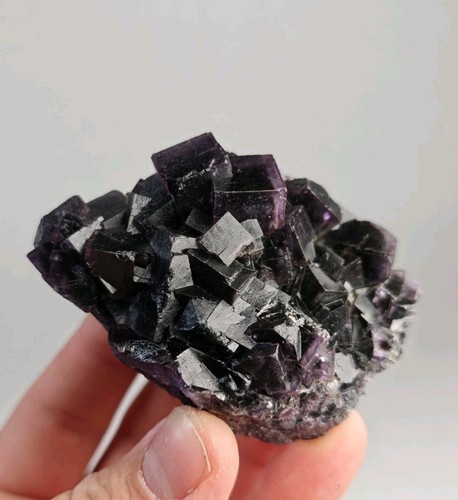 Phantom fluorite level - level,