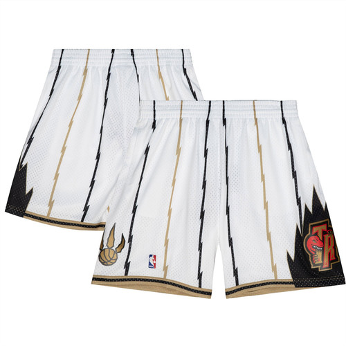 Toronto raptors nba shorts - toronto,