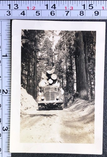 Occupational lumber logging - lumber,