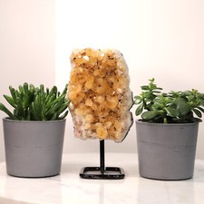 Citrine Geode Cluster Crystal