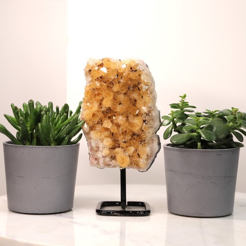 Citrine geode cluster crystal - geode,