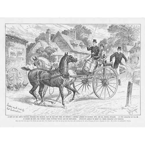 Elliman embrocation pony - elliman's,