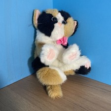 Kitty Kitty Kittens By DSI