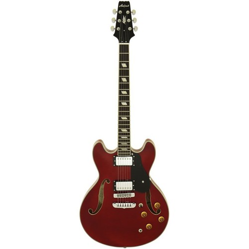 Electric guitar aria - guitar, ta