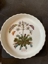 Portmeirion Botanic Gardens