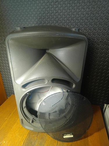 Woofer missing kam - 12",